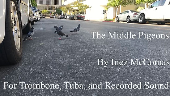 The Middle Pigeons